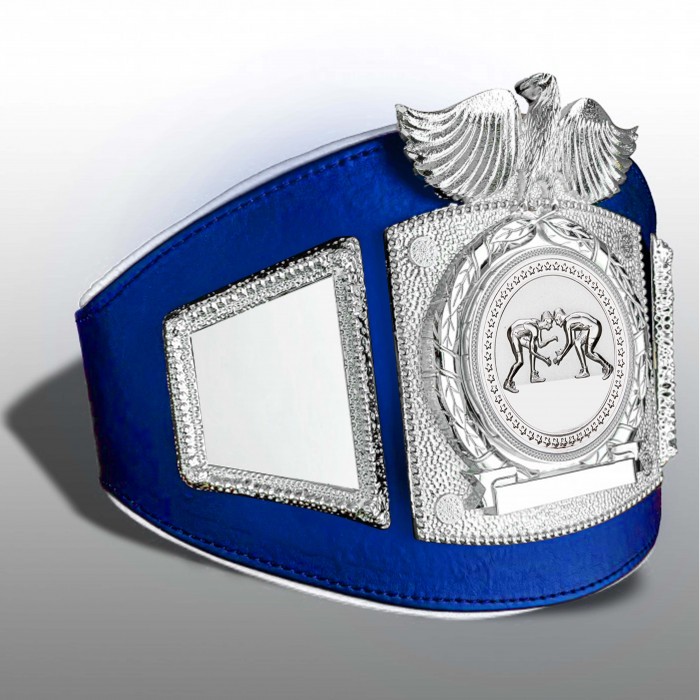 PROEAGLE GRAPPLING CHAMPIONSHIP BELT - PROEAGLE/S/GRAPS - AVAILABLE IN 6+ COLOURS